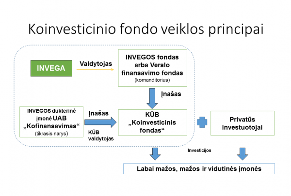 Nacionalinė institucija tiesiogiai investuos į įmones