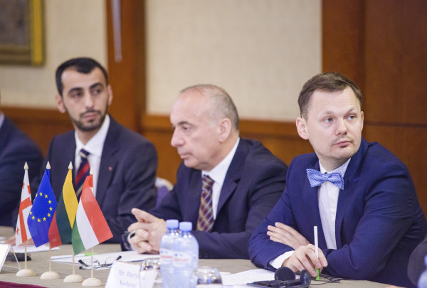 Aplinkos projektų valdymo agentūra su partneriais pradėjo įgyvendinti Dvynių projektą Gruzijoje
