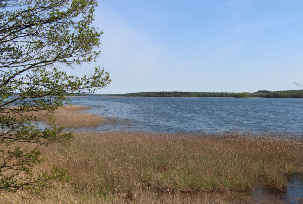 Gyventojus gelbės nuo potvynių