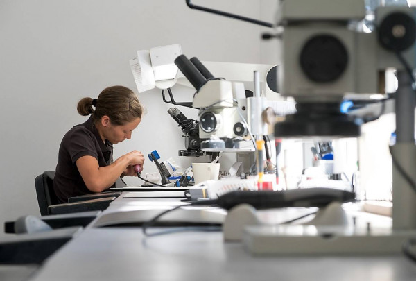 Sėkmės istorija: tobulybės siekis atnešė pelningą verslą