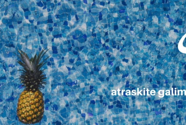 Originalių ekskursijų organizatorė Vaida: „Nuolatinis iššūkis verslui – kūrybiškumas“