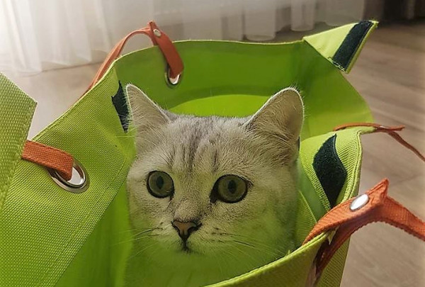 Asortimentas – svarbu, tačiau dar svarbiau – individualus dėmesys klientui