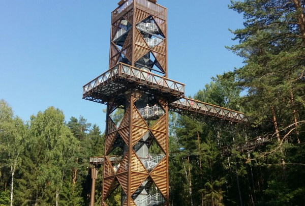 Medžių lajų take - ilgesni vakarai