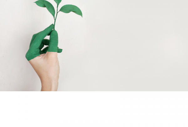 Eko - inovacijos LT.png