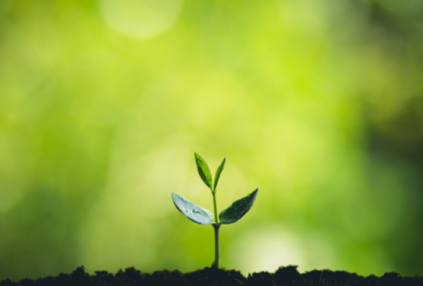 Dizainas be pavadinimo (2).png