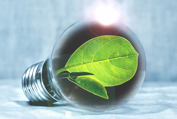 Dizainas be pavadinimo.jpg