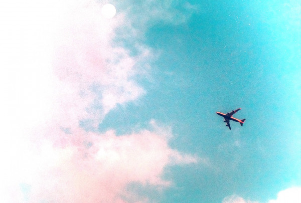 pexels-benjamin-suter-2700532 (1).jpg