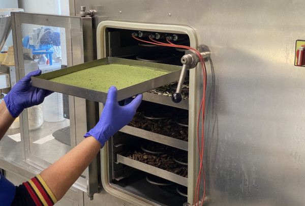 еirdinгs aralijos иaliavos pakrovimas д liofilizatoriж.JPG