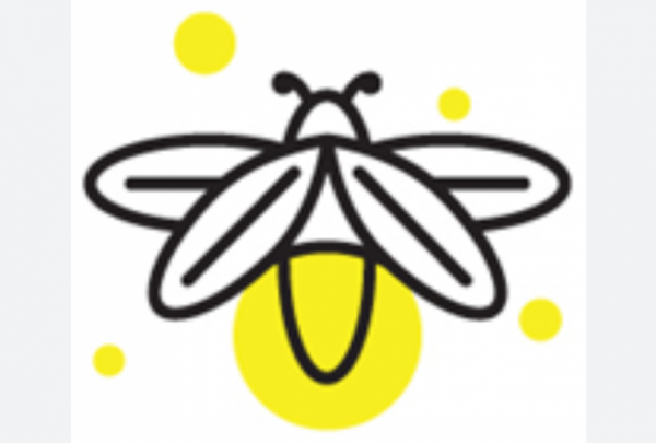 Gyventojai galės spręsti, kaip atsiskaitys gavusieji ES lėšas