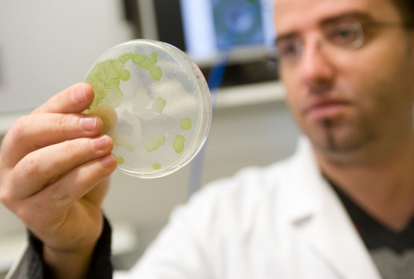 Inovatyviems mokslinių tyrimų projektams įgyvendinti prašoma daugiau nei 228  mln. eurų