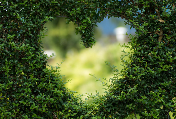 Verslą verta pradėti tik iš meilės pasirinktai veiklai
