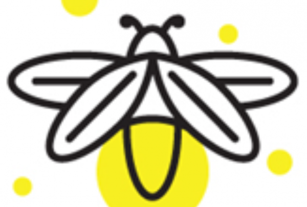 ES projektų vykdytojai gyventojams pateikė detalią informaciją apie 350 mln. Lt ES investicijų 