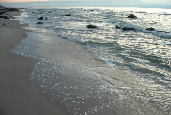 Lietuvos jūrų muziejaus delfinariumo draugijoje -  Baltijos jūros gyvūnų reabilitacijos centras