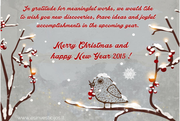 Merry Christmas and happy New Year 2015!