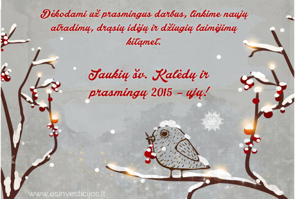 Jaukių šv. Kalėdų ir parasmingų 2015-ųjų! 