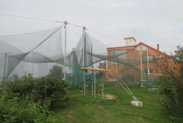 Ventės rage – ornitologinės stoties atgimimas