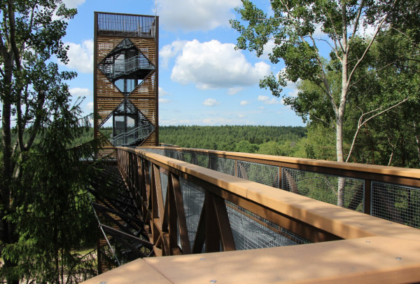 Anykščiuose atidarytas medžių lajų takas