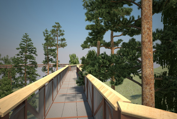 Anykščiuose kyla medžių lajų tako pamatai