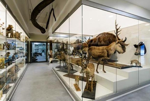 Du nauji centrai ir didžioji CERN paroda perrašys Lietuvos mokslo istoriją