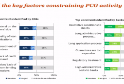 I. Skamnelos - Partial Credit Guarantee Schemes in CESEE, the Survey